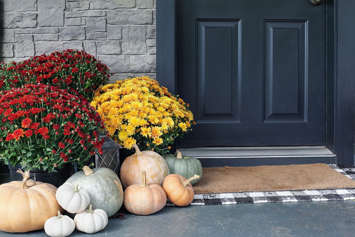 Fall Time to plant those mums! Florida Home Real Estate