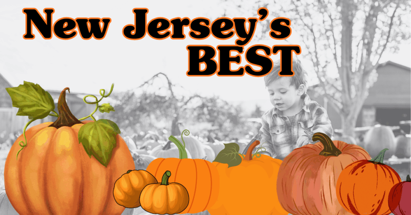 5 New Jersey Pumpkin Patches in New Jersey not to miss this year